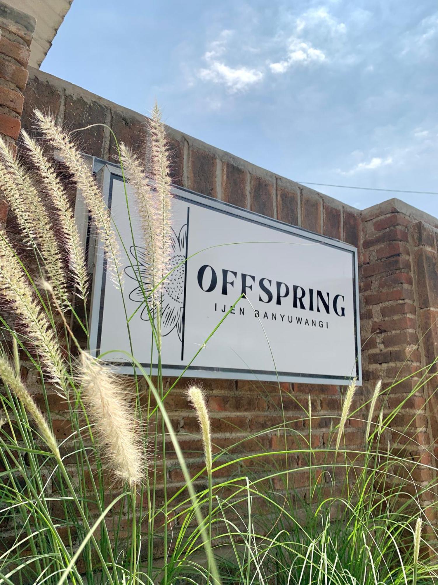 Offspring Ijen Hostel Banyuwangi Екстер'єр фото